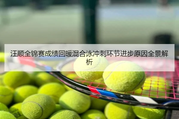 汪顺全锦赛成绩回暖混合泳冲刺环节进步原因全景解析