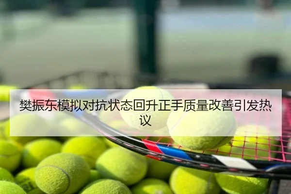 樊振东模拟对抗状态回升正手质量改善引发热议